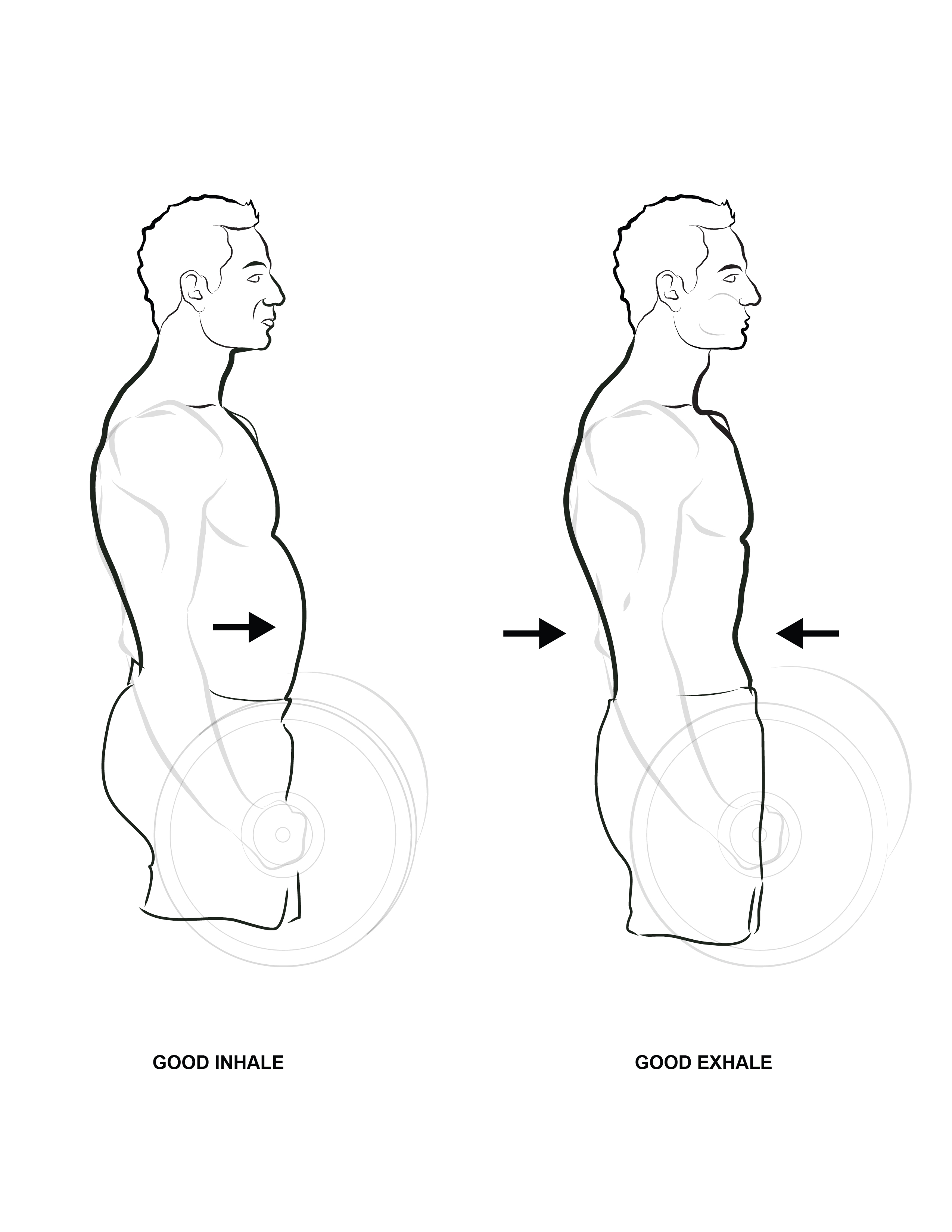 On a strong inhale, the belly expands outward.