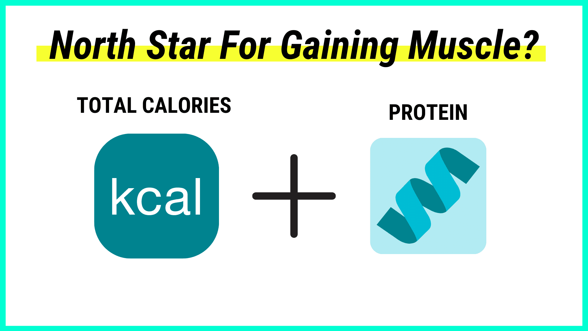 north start for gaining muscle is total calories and protein